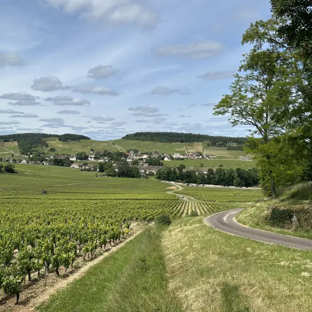 Mercurey Vignes Ot 4