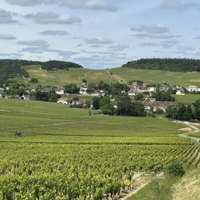 Mercurey Vignes Ot 5