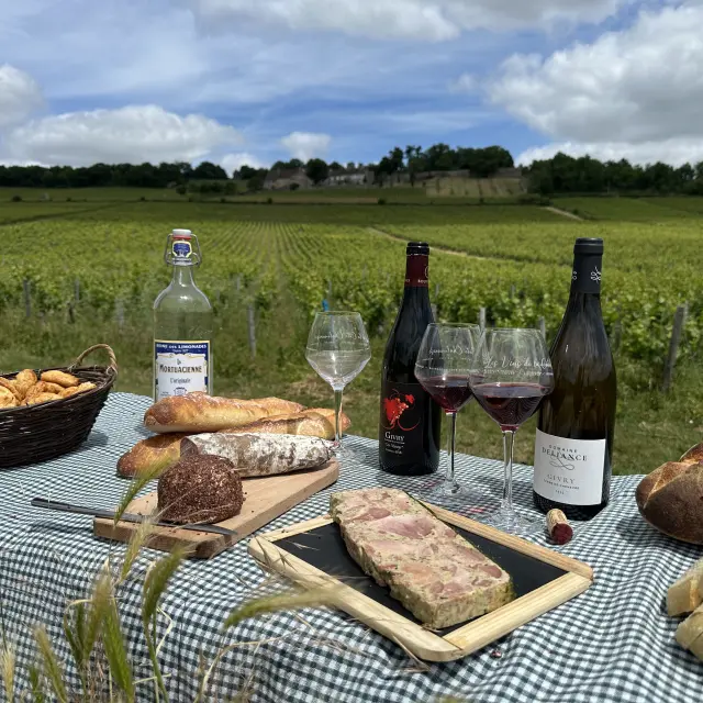 Pique-nique dans les vignes