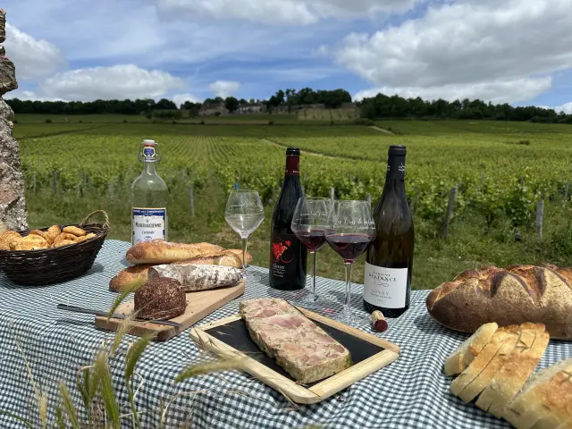 Picnic Vignes Ot 1