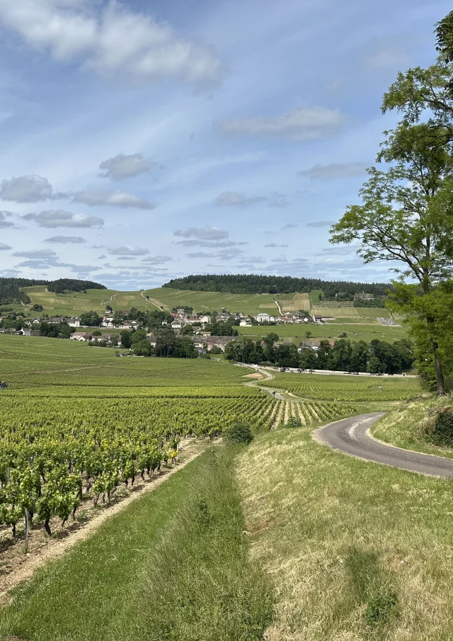 Mercurey Vignes Ot 6