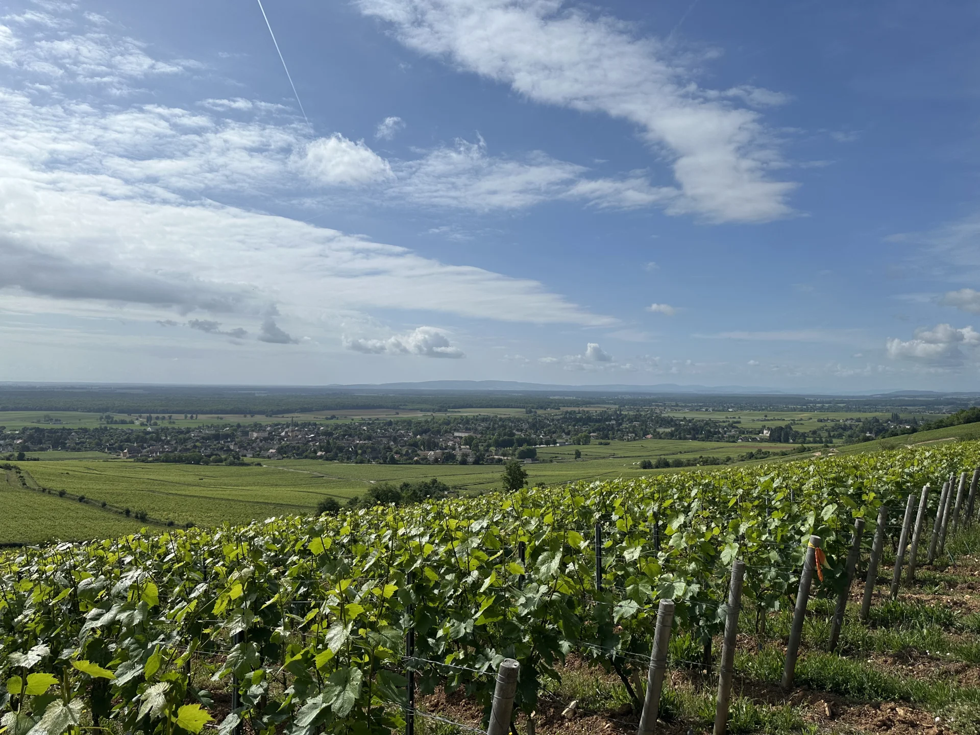 Randonnee Vigne Givry Ot 5
