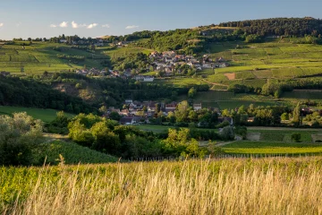 Vignobles des Maranges