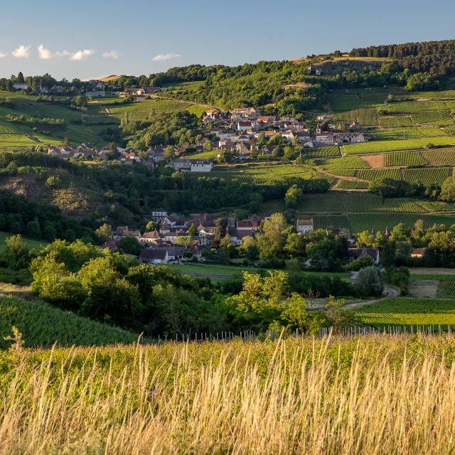 Vignobles des Maranges