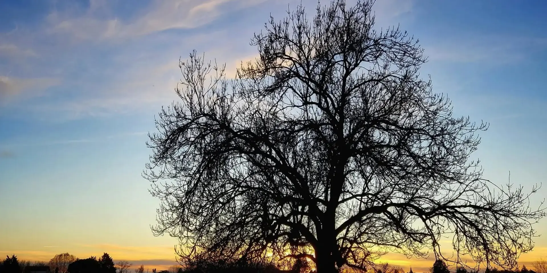 Instagram #legrandchalon