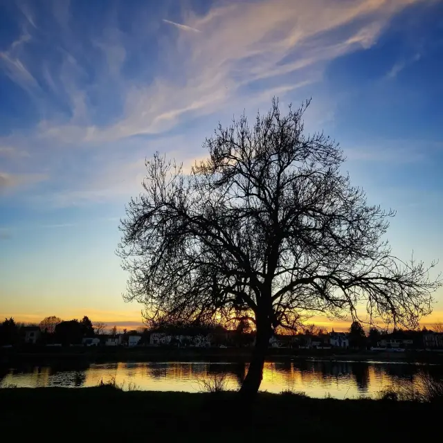 Instagram #legrandchalon