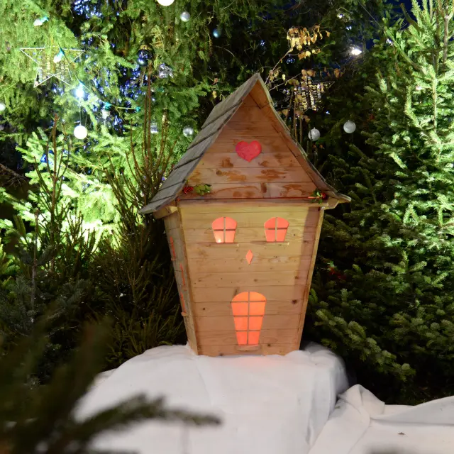 Chalon Hiver Noel Decorations Nuit 2020 Rozenn Krebel 106