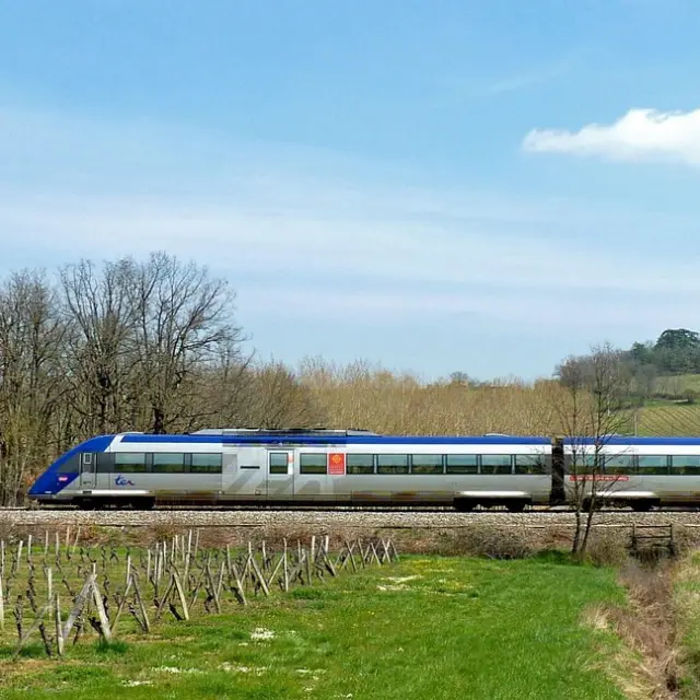 Train dans un paysage viticole