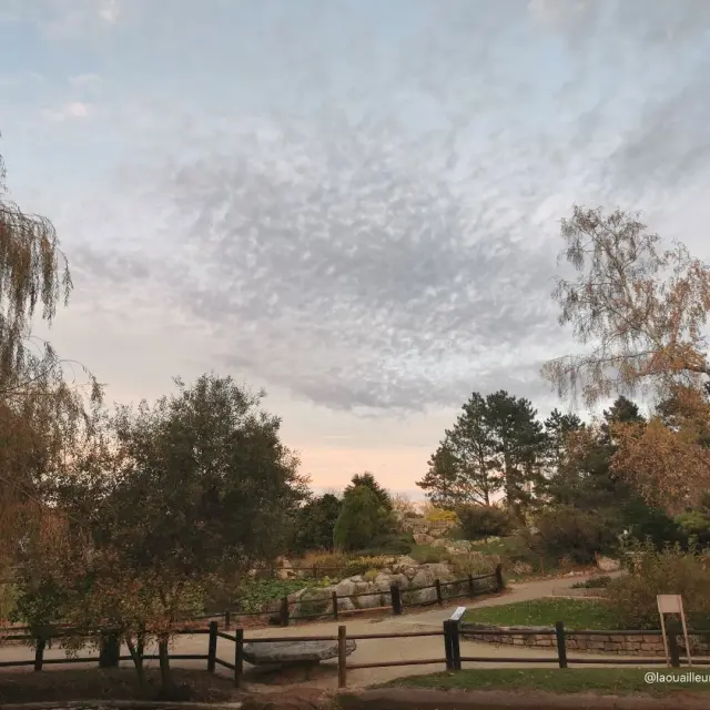 Instagram #chalonsursaone