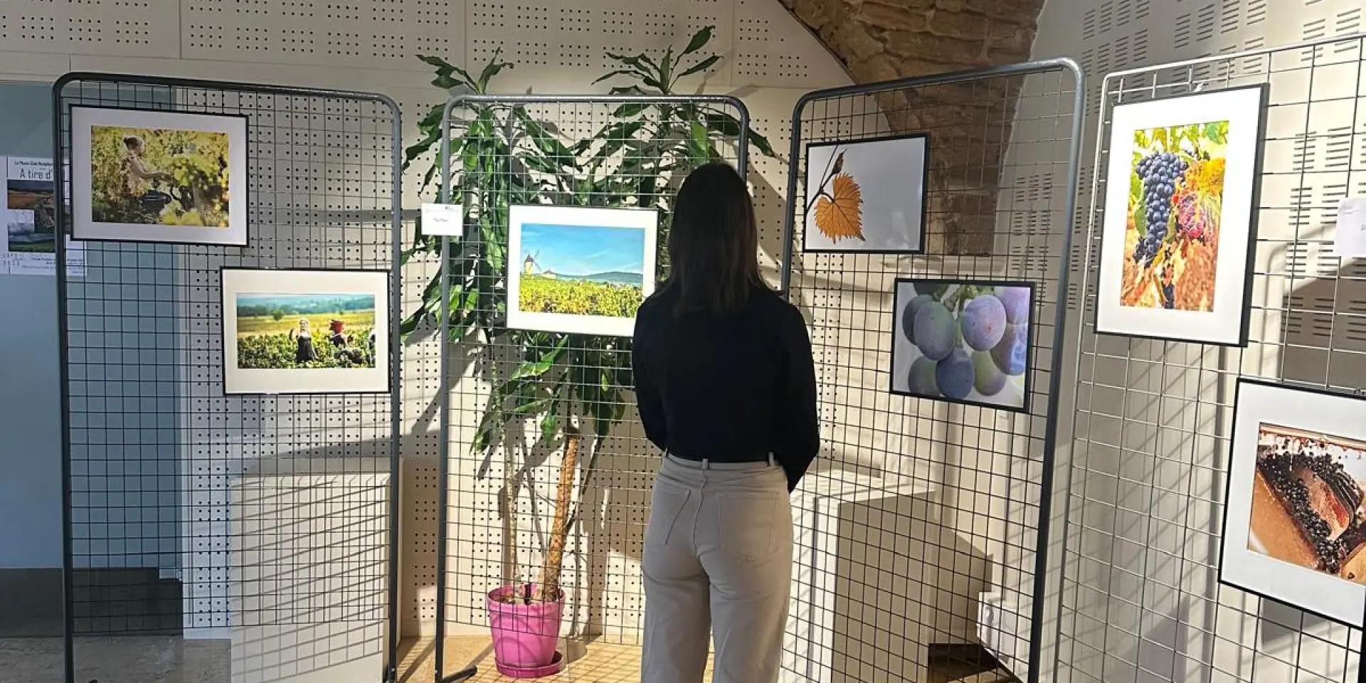 Salle d'exposition OT