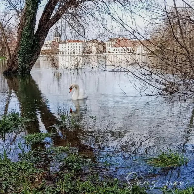 Instagram #chalonsursaone