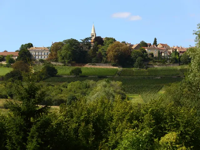 Grand Chalon