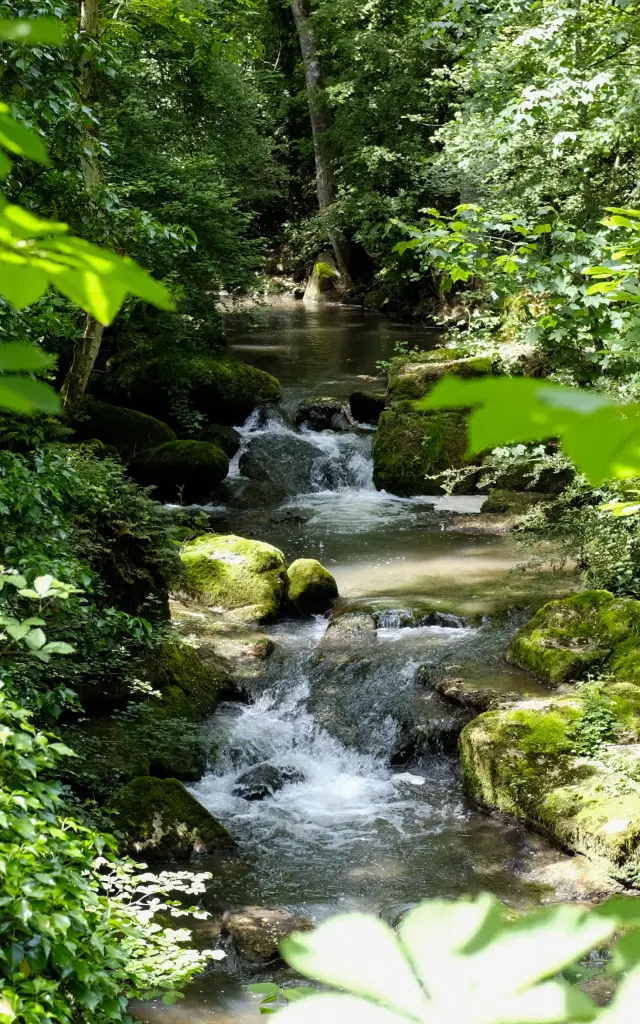 La Cozanne à Sampigny-lès-Maranges