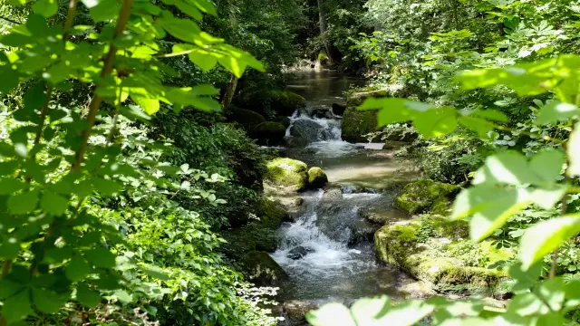 Credit: Grand Chalon Tourist Office 13