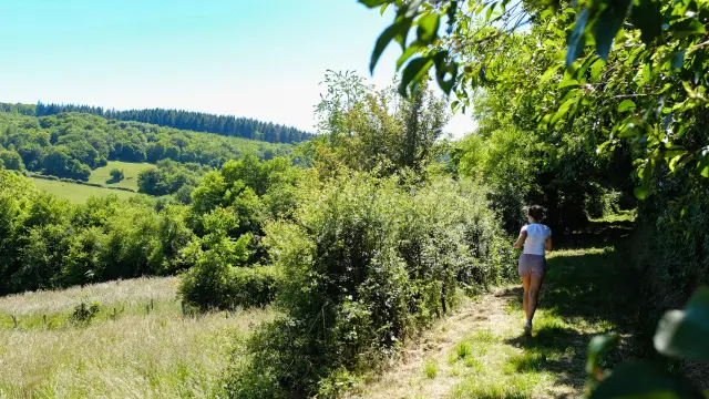 Trail et course dans la Vallée des Vaux
