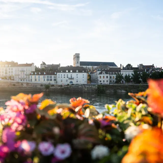 Chalon sur Saône fleurie