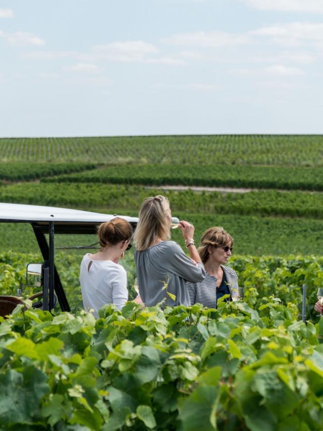 Champagne Bonnevie Bocart Voiturette Electrique 4 © Marat Anaev