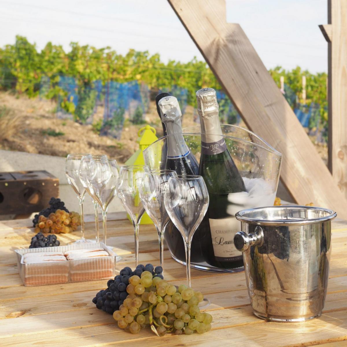 Dégustation gourmande dans une loge de vignes | Châlons-en-Champagne ...