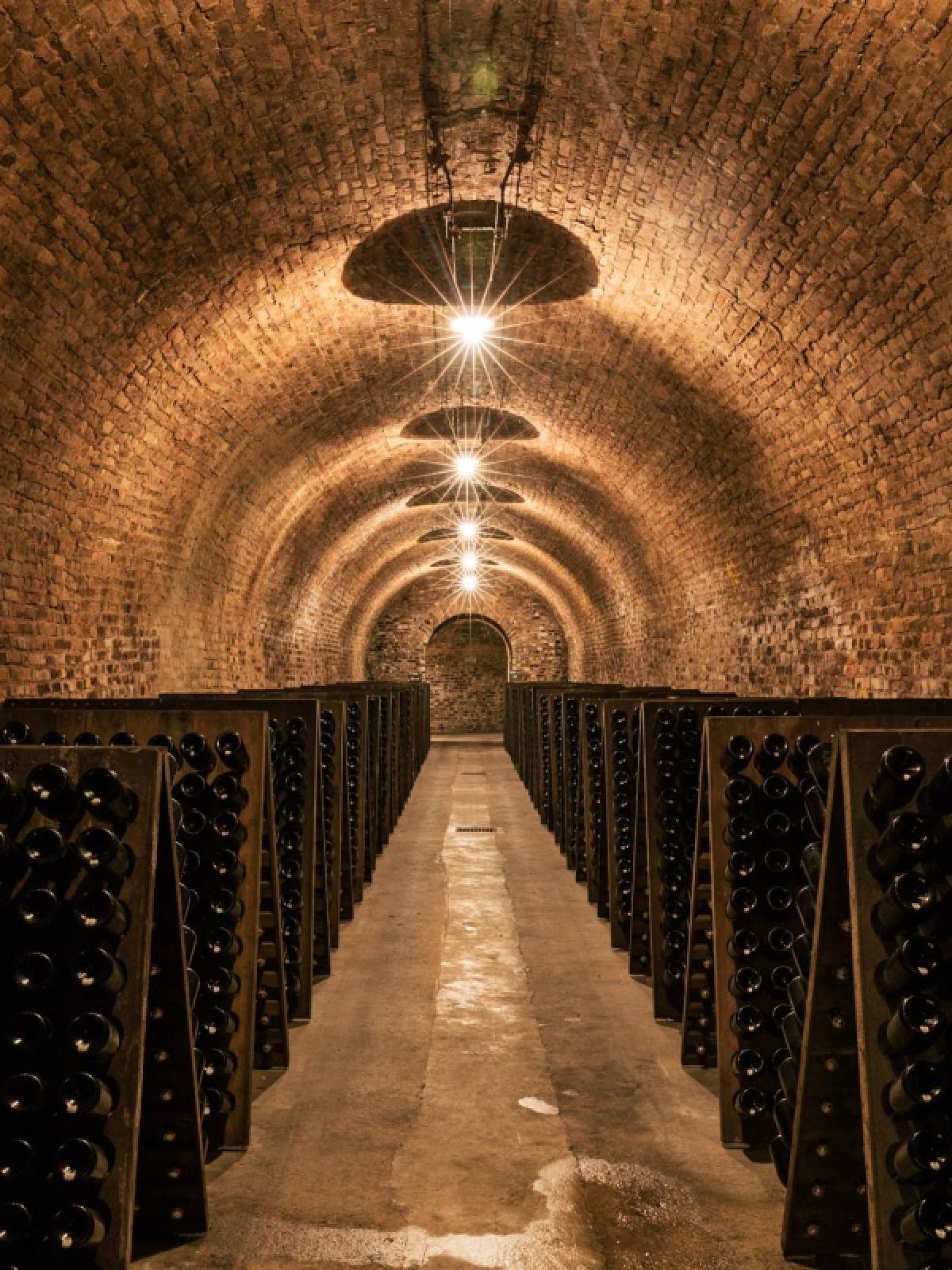 Vignerons et maisons de champagnes ChâlonsenChampagne La