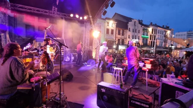 Festival Musiques Ici Et Ailleurs Chalons 2025 The Salmon