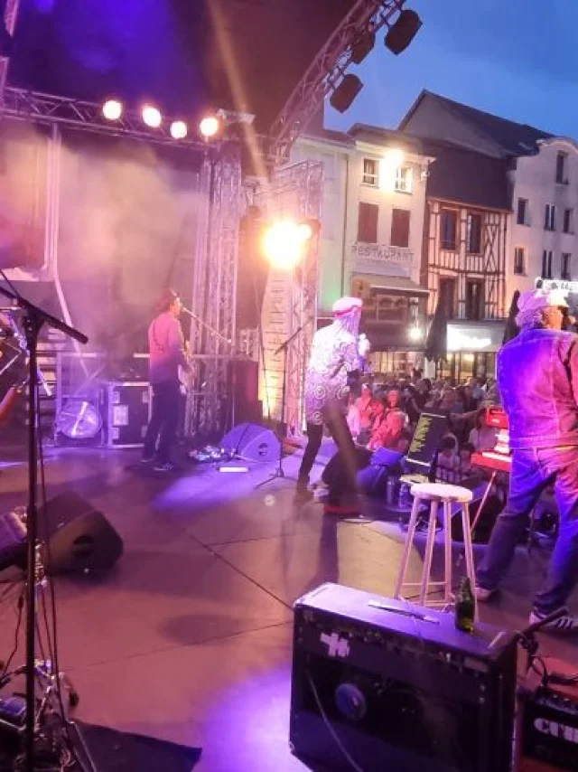 Festival Musiques Ici Et Ailleurs Chalons 2025 The Salmon