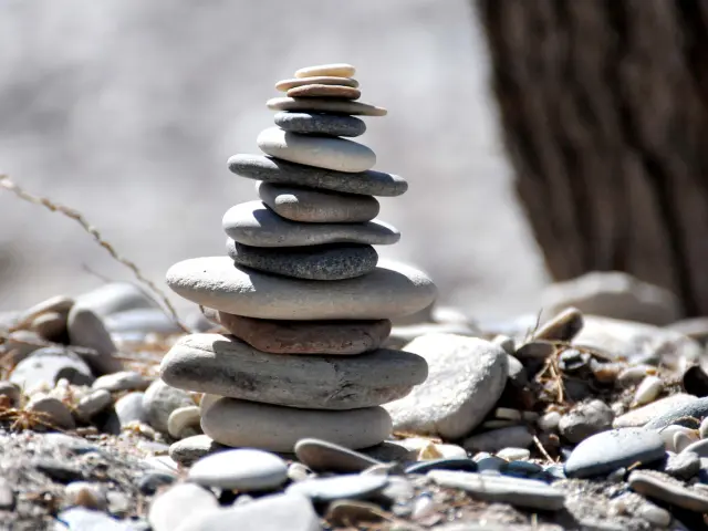 Atelier De Degustation Sensoriel Memoire De Bulles