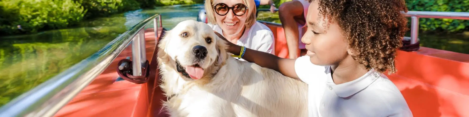 Toutourisme Balade En Barque Chiens Acceptes Chalons
