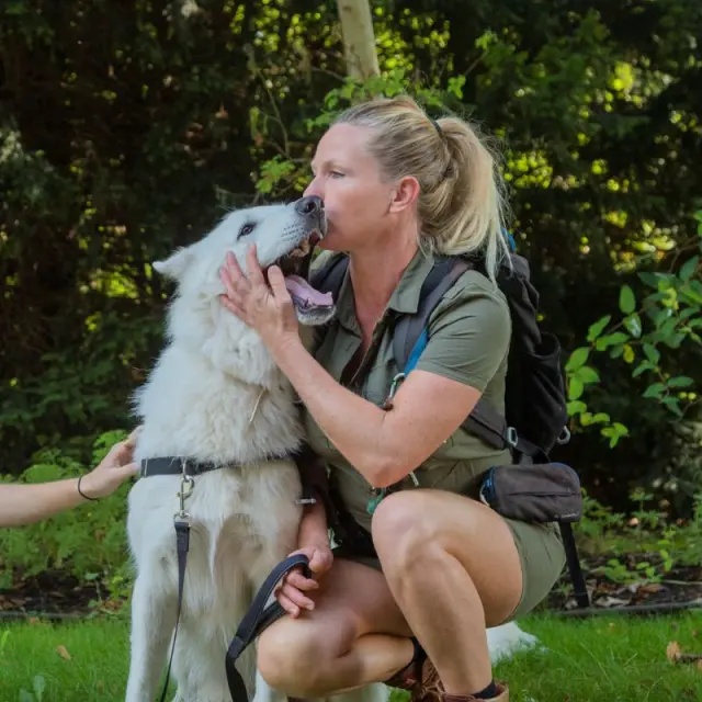 Toutourisme Balade Petit Jard