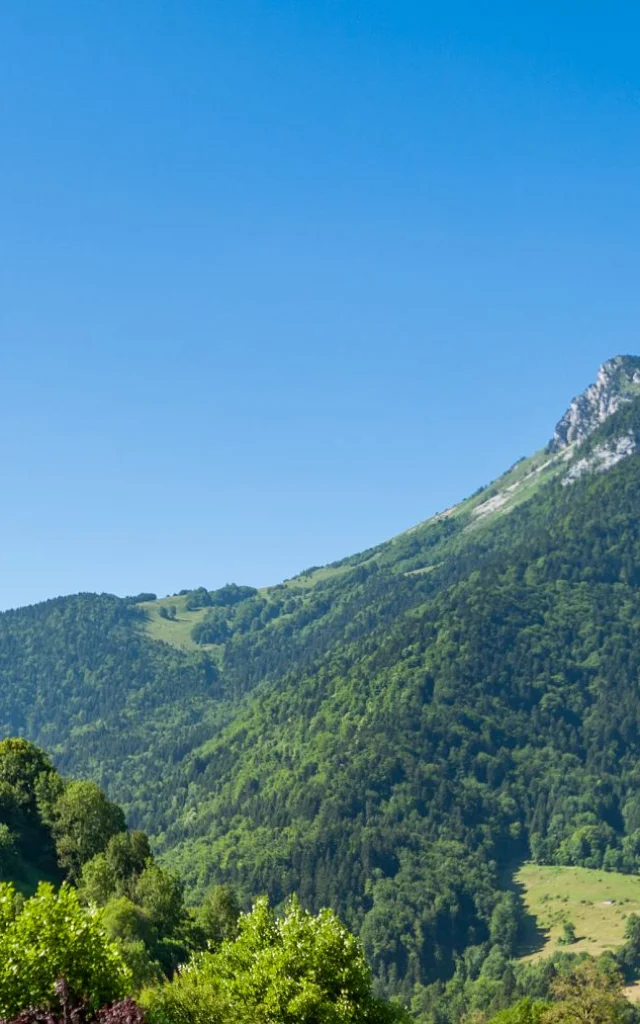 20180625-CHAAS_CH24983-Panorama.jpg