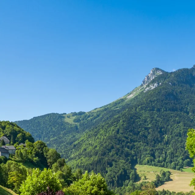 20180625-CHAAS_CH24983-Panorama.jpg