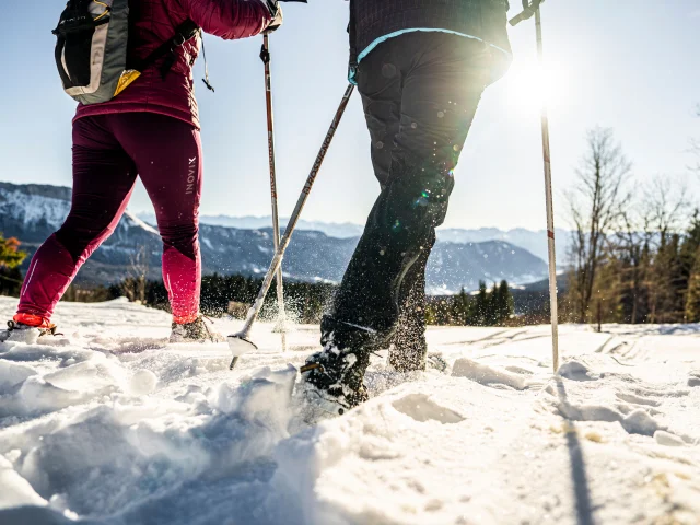 Sneeuwschoenwandelen en langlaufen - Savoie Grand Revard