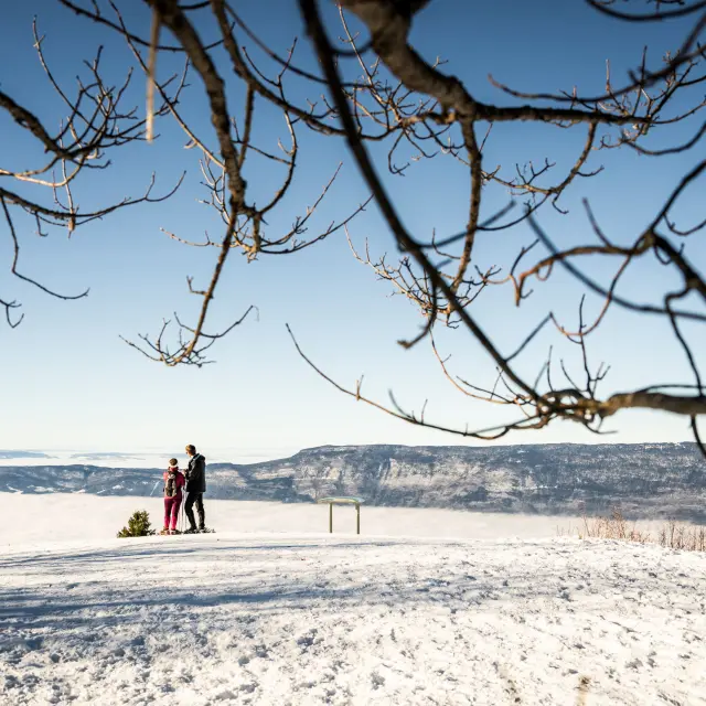 Sneeuwschoenwandelen en langlaufen - Savoie Grand Revard