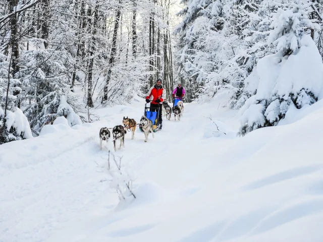 Aillon le Jeune credits C Haas -14.jpg