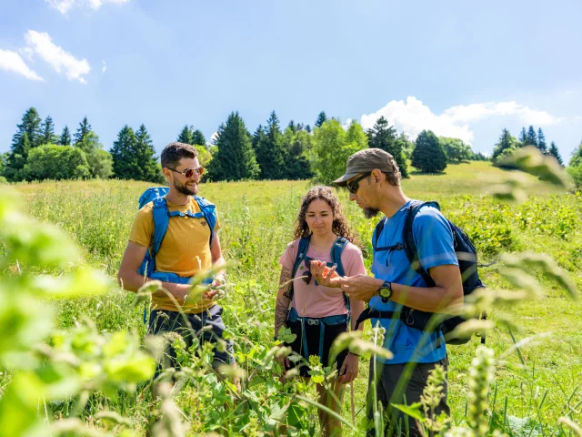 Balade Flore Bauges - Alpigraphie-36.jpg