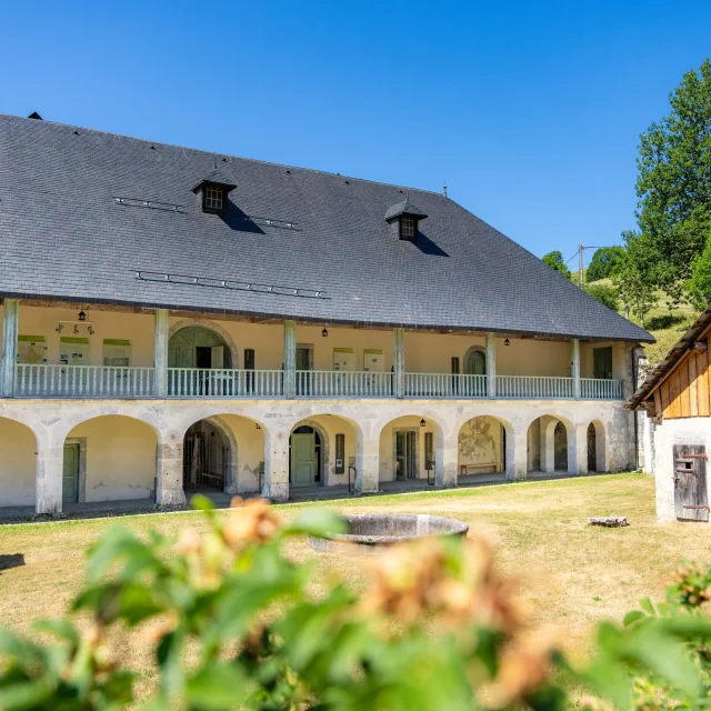 Chartreuse d_Aillon - Alpigraphie-10.jpg