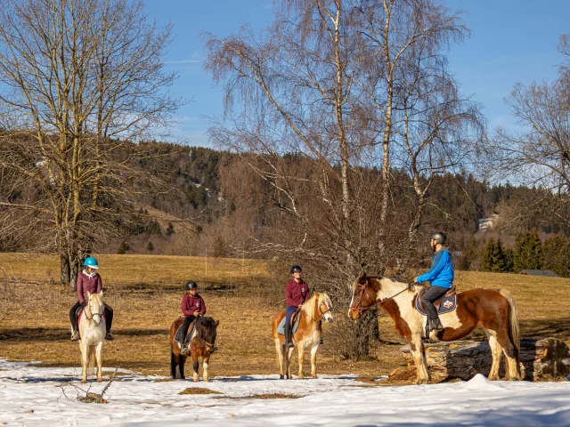 Copyright _ARTPRISM_OT_02022024_ 22.jpg