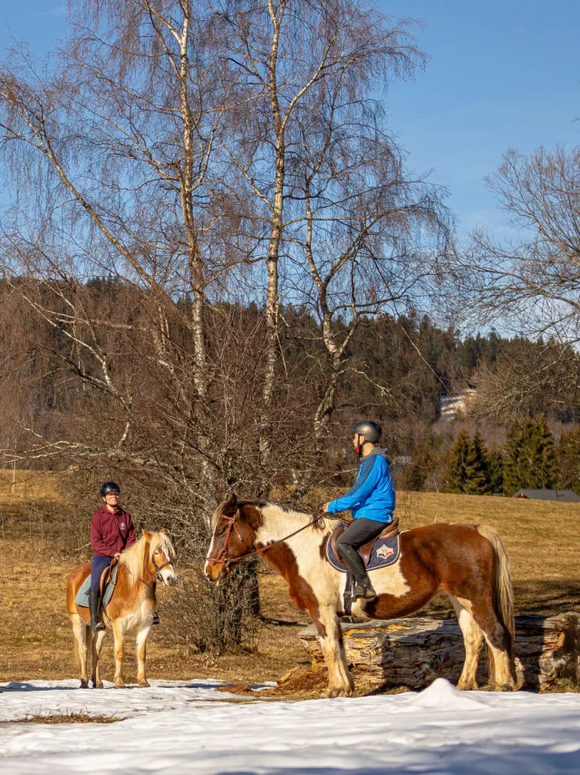 Copyright _ARTPRISM_OT_02022024_ 22.jpg