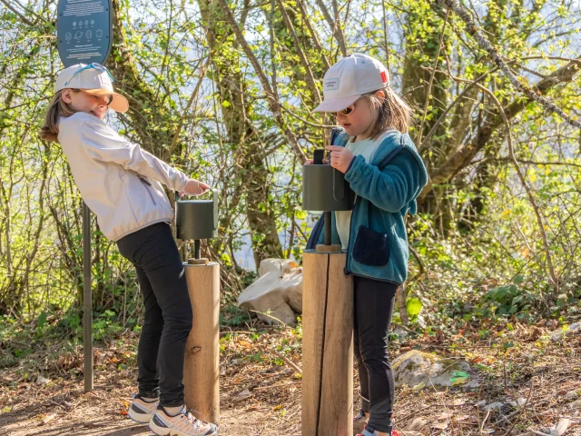 Curienne - Ciel Etoile Bauges - Alpigraphie-101642.jpg