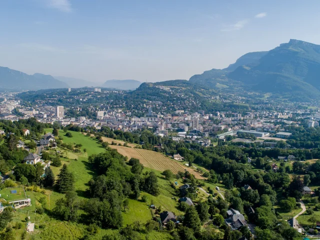 DJI_0345.jpg