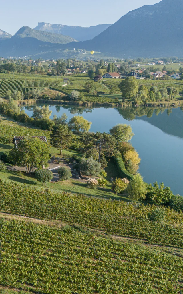 DJI_20230927090643_0177_D-HD-PRINT.jpg
