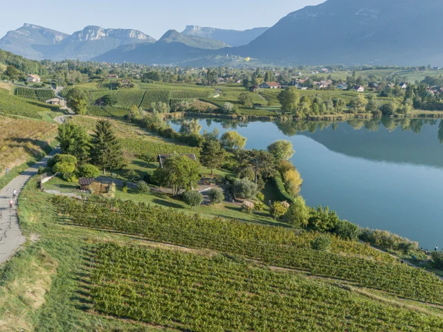 DJI_20230927090643_0177_D-HD-PRINT.jpg