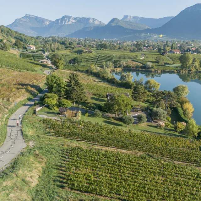 DJI_20230927090643_0177_D-HD-PRINT.jpg