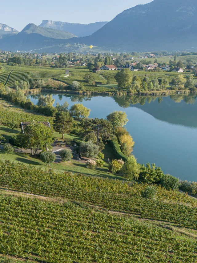 DJI_20230927090643_0177_D-HD-PRINT.jpg