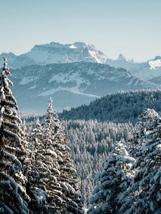 GCAT-Feclaz-Ski-Alpin_Copyright _Peignee-Verticale-0224.jpg