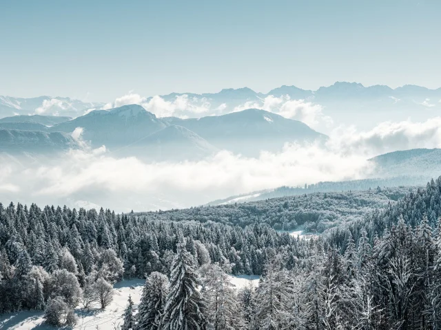 GCAT-Feclaz-Ski-Alpin_Copyright _Peignee-Verticale-0467.jpg