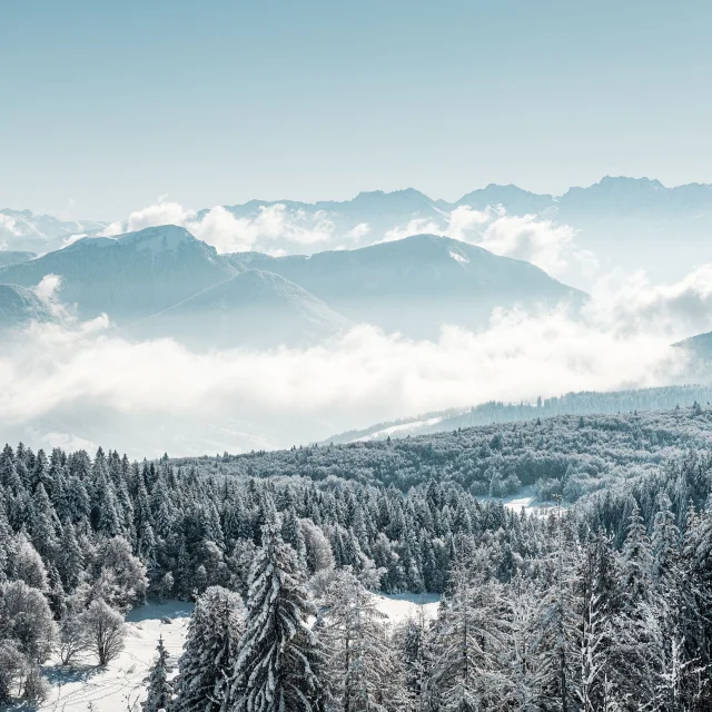 GCAT-Feclaz-Ski-Alpin_Copyright _Peignee-Verticale-0467.jpg