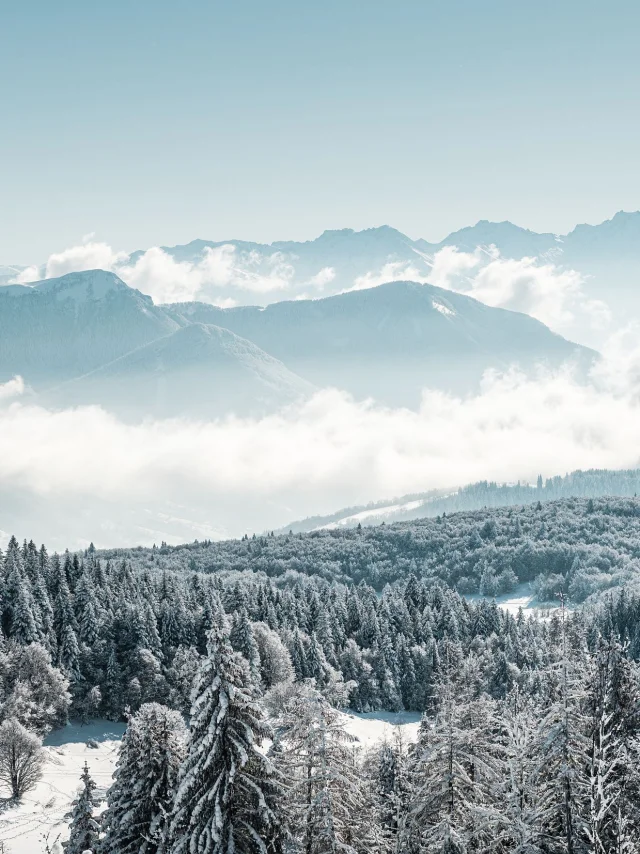 GCAT-Feclaz-Ski-Alpin_Copyright _Peignee-Verticale-0467.jpg