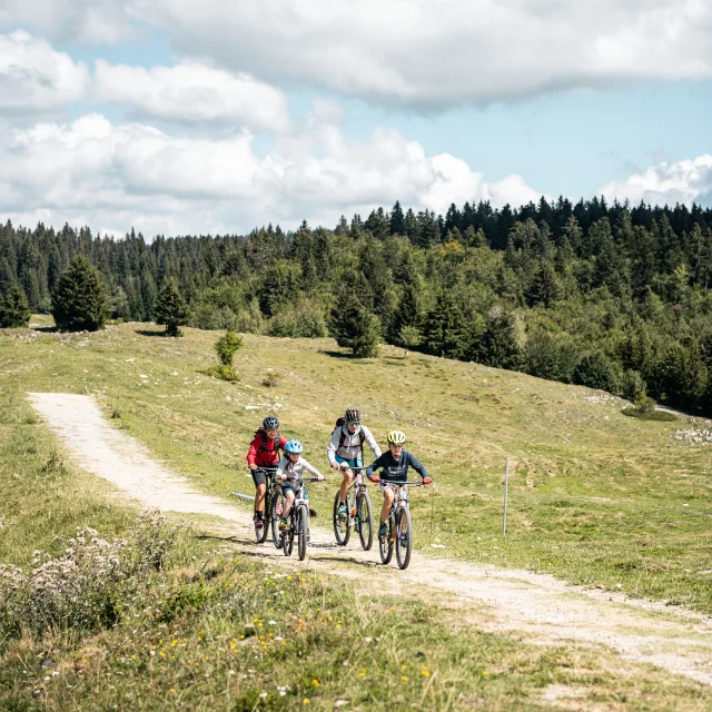 GCAT-VTT-Feclaz_R_Peignee-Verticale_TNalet-5940.jpg