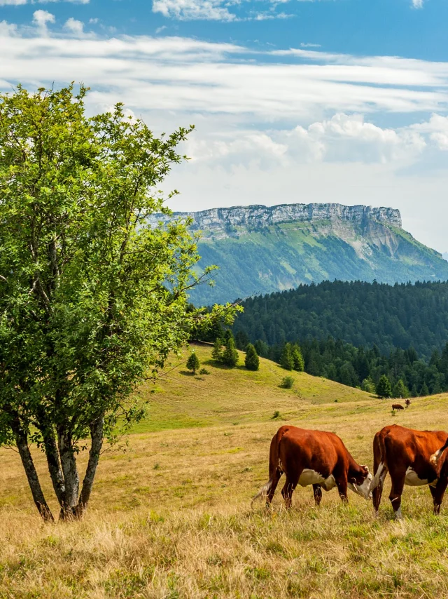 natuur