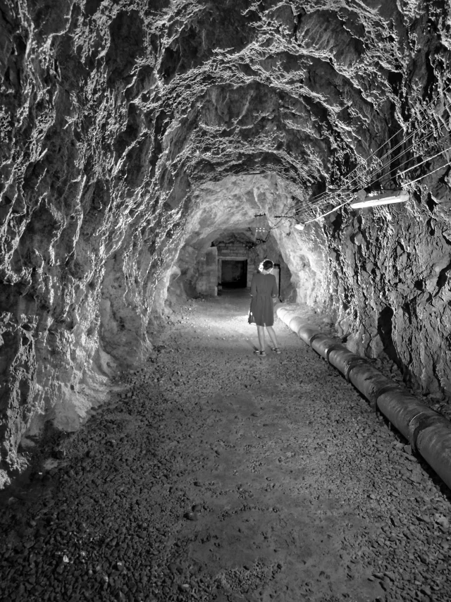 Abri Clos Savoiroux Chambery